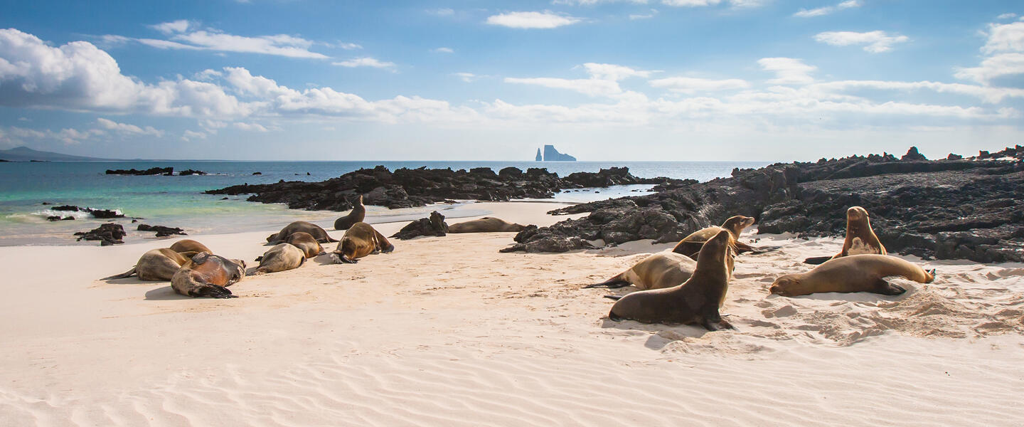 Ecuador und Galápagos zum Kennenlernen