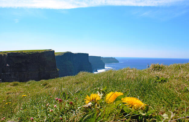 Irland - die ausführliche Reise auf der grünen Insel