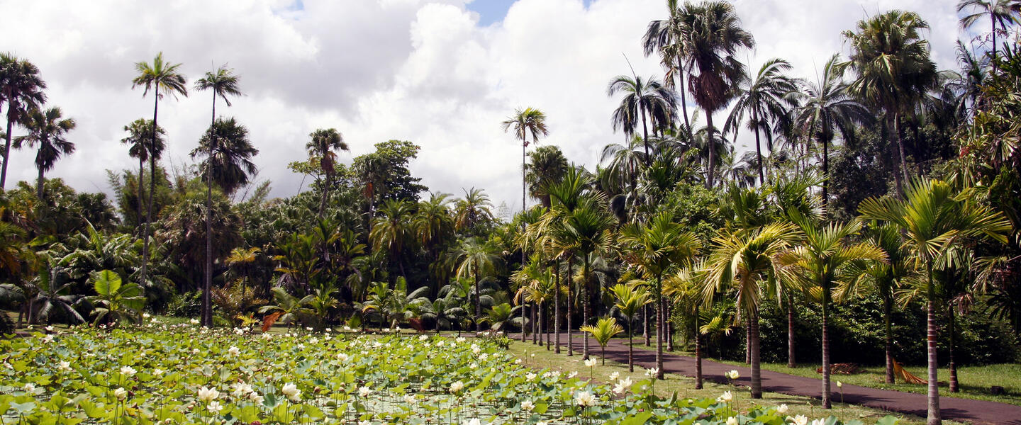 Südafrika und Mauritius