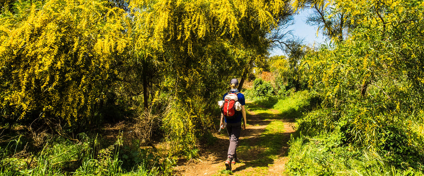 Algarve - wandern an der facettenreichen Südküste