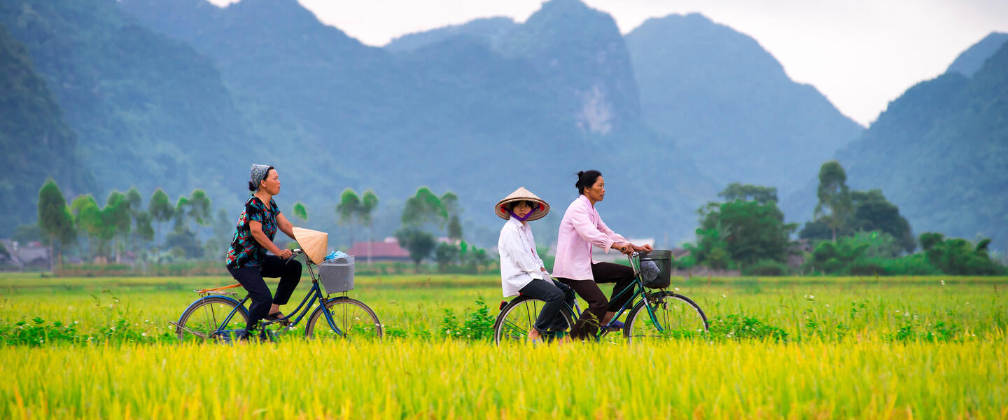 Vietnam per Rad und Rikscha eine Radreise von Gebeco