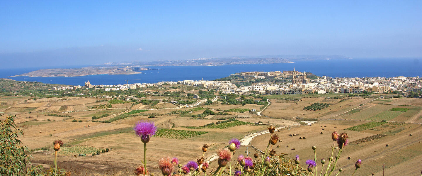 Mediterranes Doppel ─ Malta und Gozo ausführlich entdecken