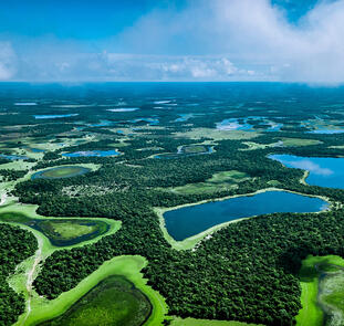 Pantanal
