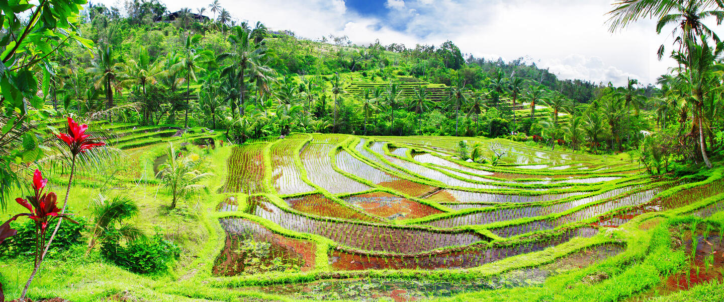 Indonesische Vielfalt auf Sumatra, Java und Bali-Privat