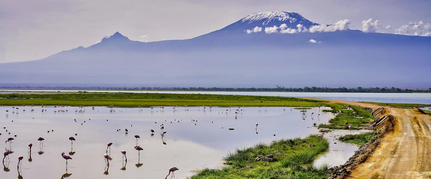 Kenia ─ grenzenloses Tierparadies