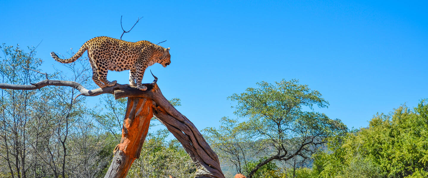 Camping-Abenteuer Namibia