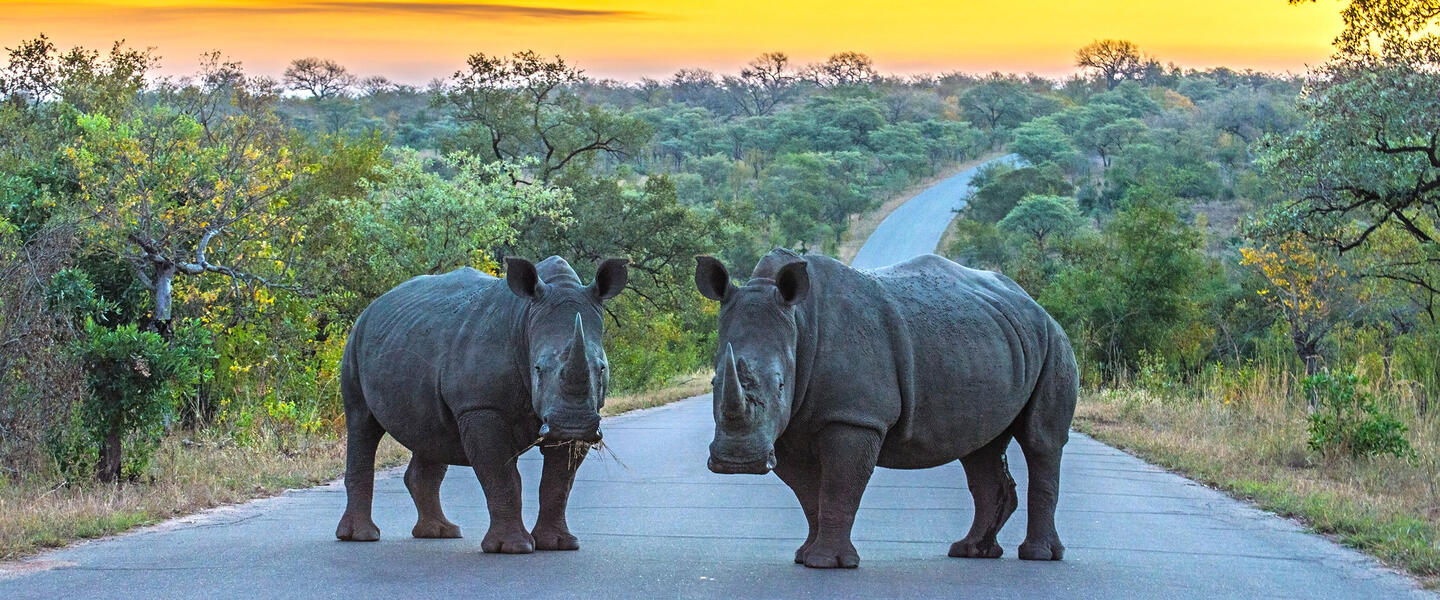Südafrika ausführlich entdecken für Selbstfahrer