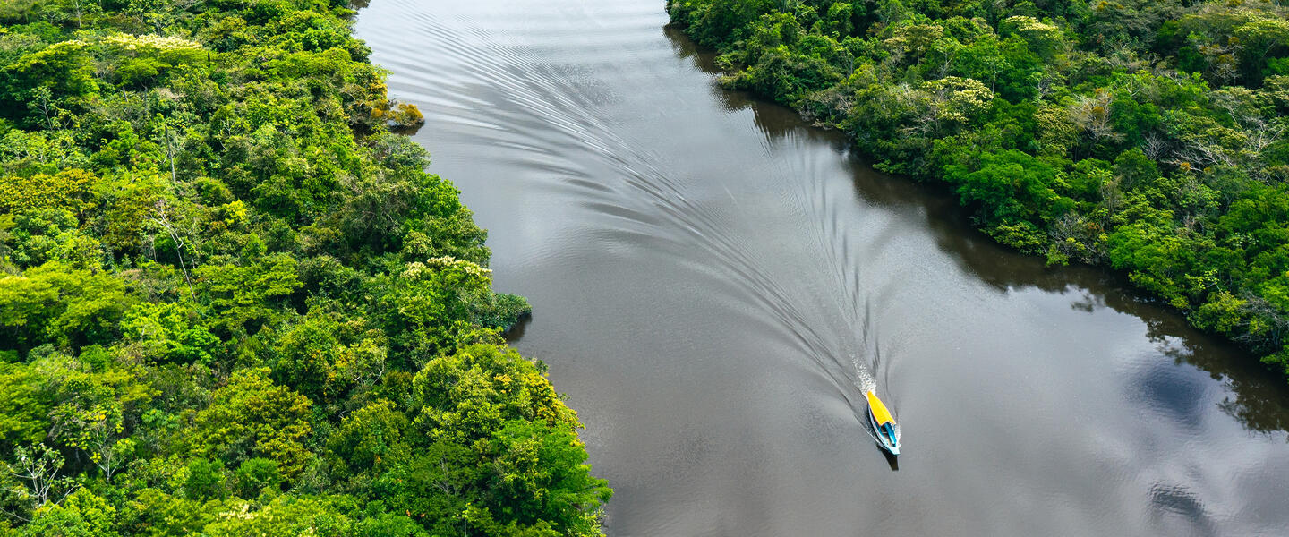 Posada Amazonas ─ Erlebnis Regenwald