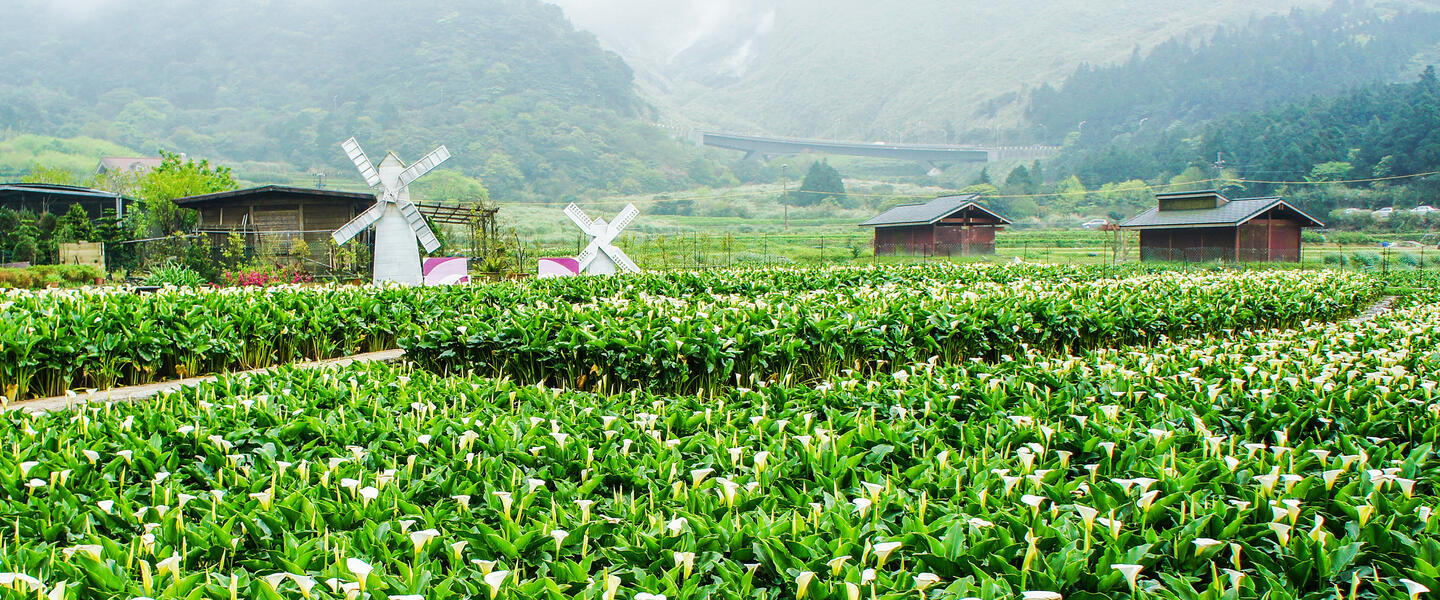 Naturparadies Taiwan