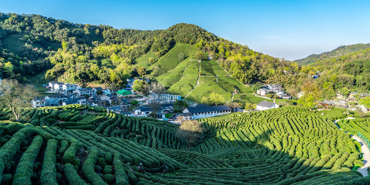 Zhejiang entdecken