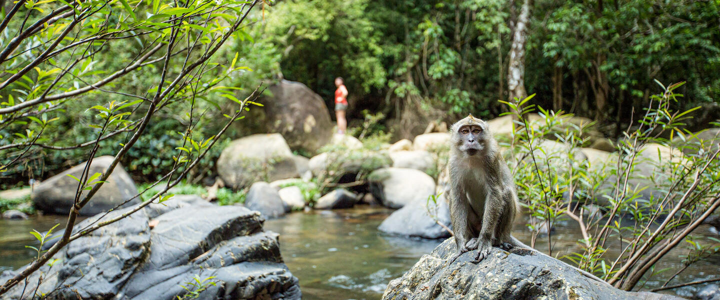 Naturwunder Khao Sok