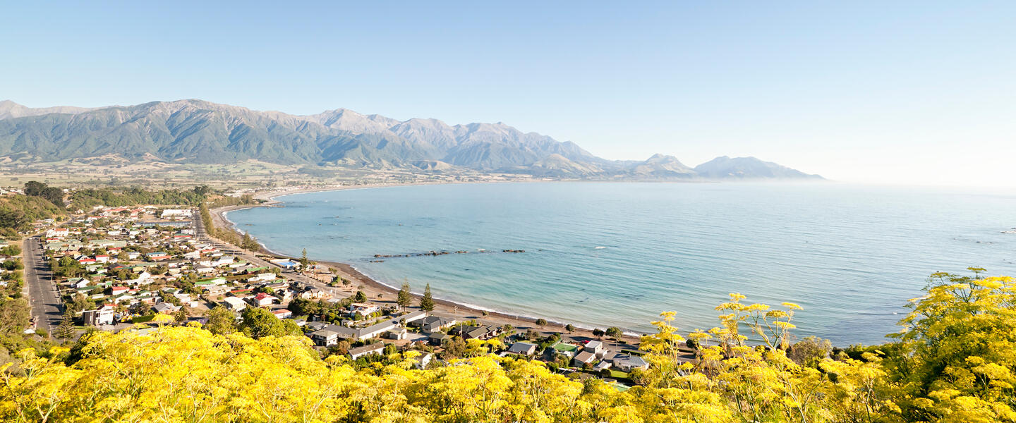 Kaikoura ─ den Walen ganz nah